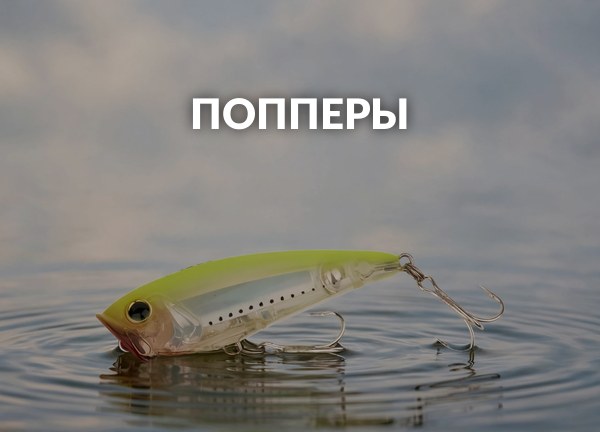 Попперы