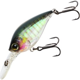 Воблер YO-ZURI 3DB CRANK 1.5 MR (F) 60mm R1353-RBG Воблер YO-ZURI 3DB CRANK 1.5 MR (F) 60mm R1353-RBG